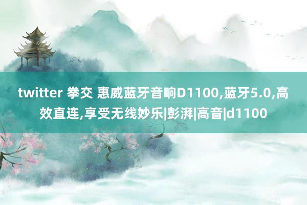 twitter 拳交 惠威蓝牙音响D1100，蓝牙5.0，高效直连，享受无线妙乐|彭湃|高音|d1100