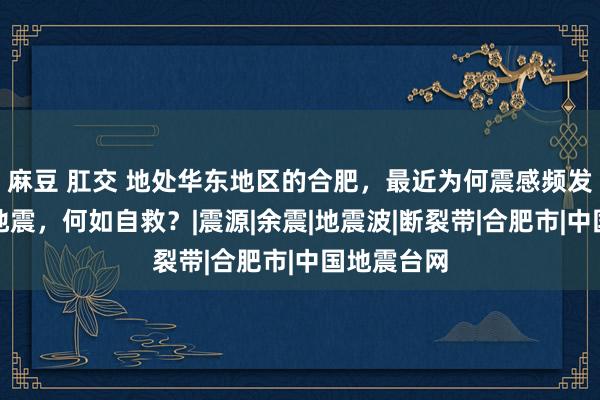 麻豆 肛交 地处华东地区的合肥，最近为何震感频发？如碰到地震，何如自救？|震源|余震|地震波|断裂带|合肥市|中国地震台网